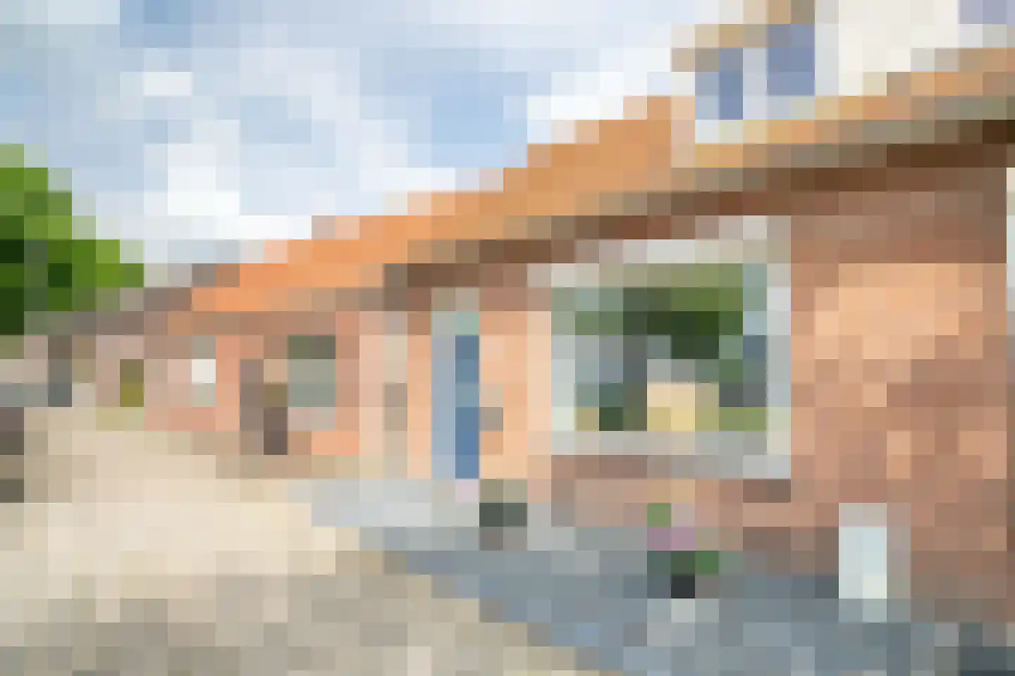 Gronausestraat 173 Losser thumbnail 5