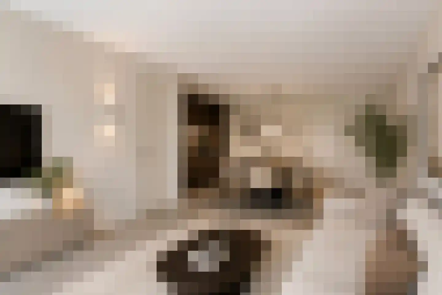 Gronausestraat 197 22 Losser thumbnail 10