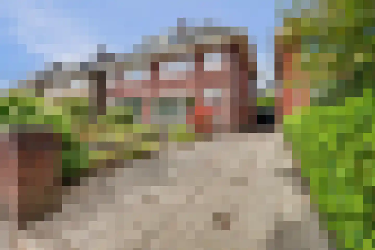 Gronausestraat 199 Enschede thumbnail 5