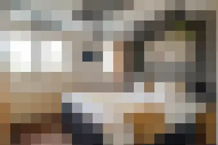 Gronausestraat 213 Losser thumbnail 16