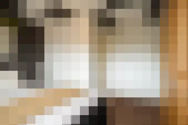 Gronausestraat 213 Losser thumbnail 17