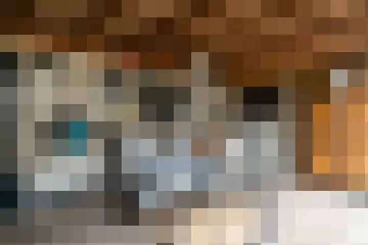 Gronausestraat 213 Losser thumbnail 26
