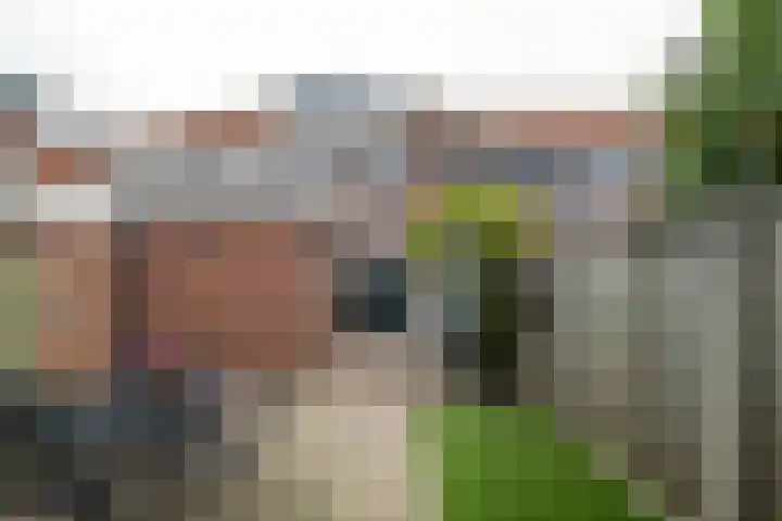 Gronausestraat 213 Losser thumbnail 28