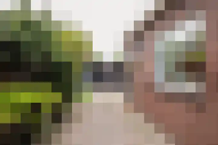 Gronausestraat 213 Losser thumbnail 30