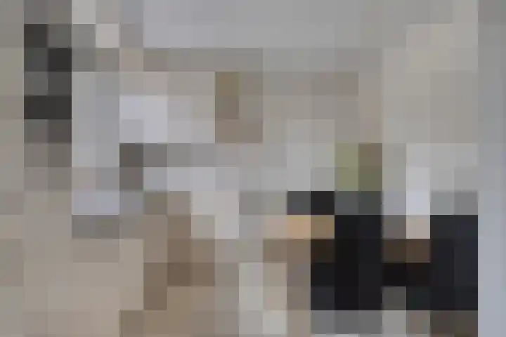 Gronausestraat 221 Losser thumbnail 12