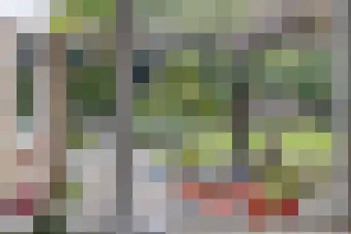 Gronausestraat 221 Losser thumbnail 13