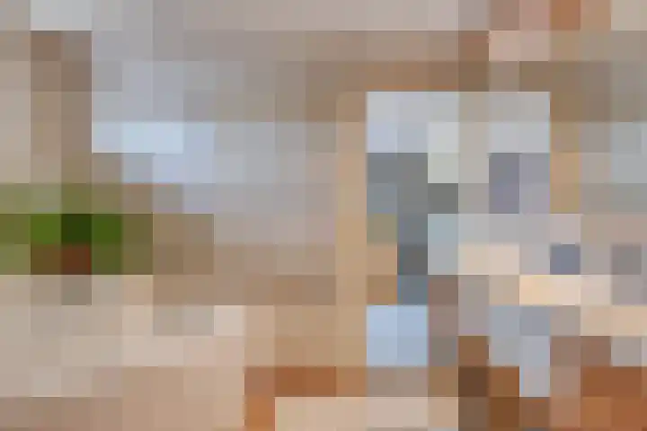 Gronausestraat 221 Losser thumbnail 18