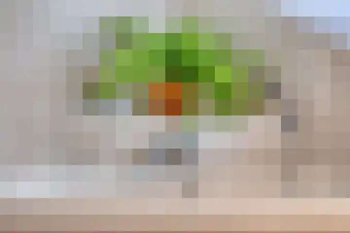 Gronausestraat 221 Losser thumbnail 19