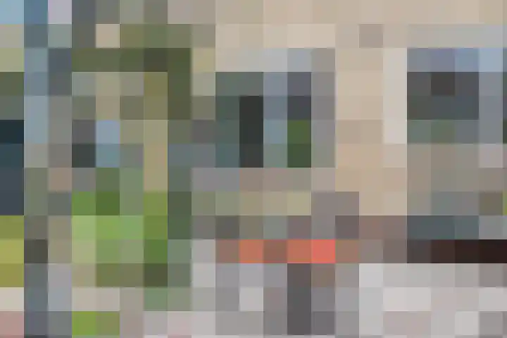 Gronausestraat 221 Losser thumbnail 27