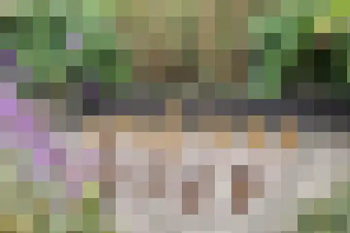 Gronausestraat 221 Losser thumbnail 31