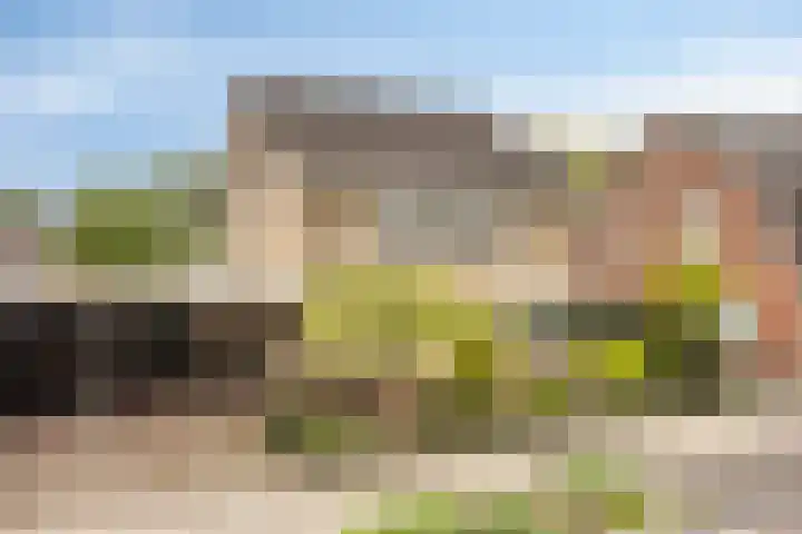 Gronausestraat 221 Losser thumbnail 36
