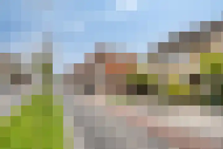 Gronausestraat 221 Losser thumbnail 37