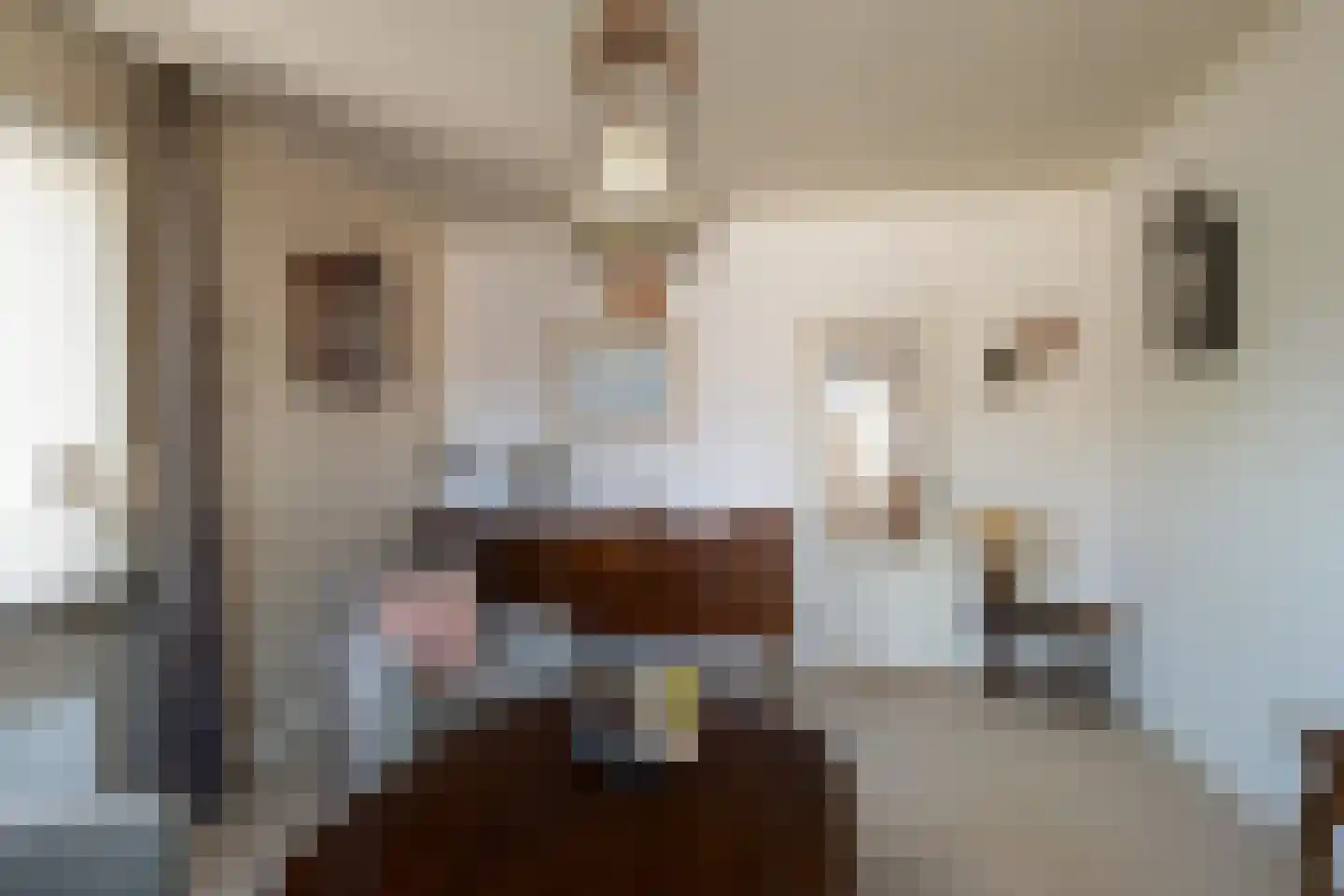 Gronausestraat 225 Losser thumbnail 10