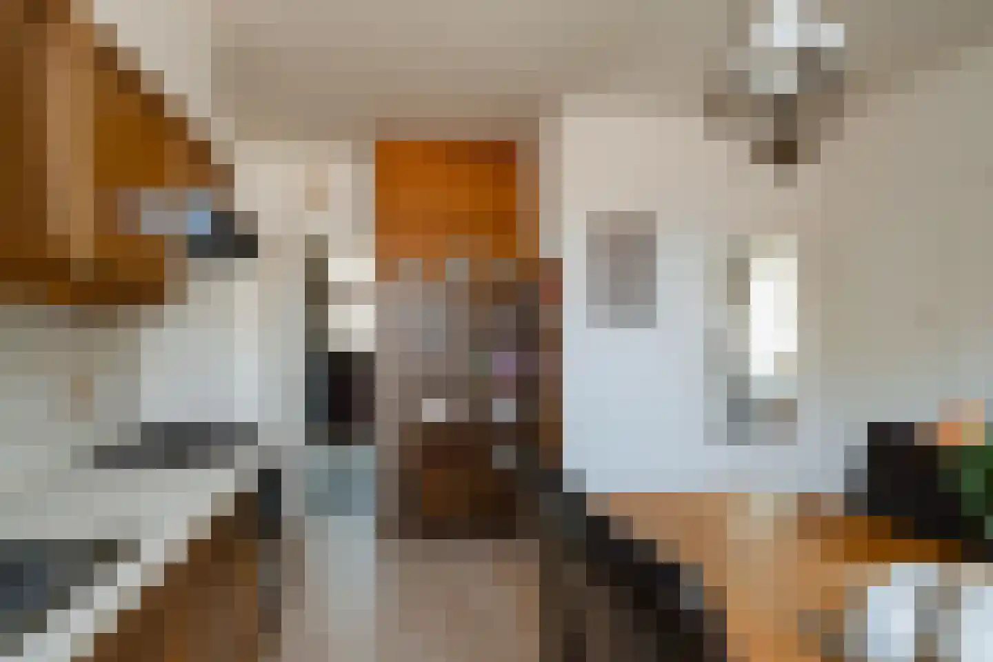 Gronausestraat 225 Losser thumbnail 13
