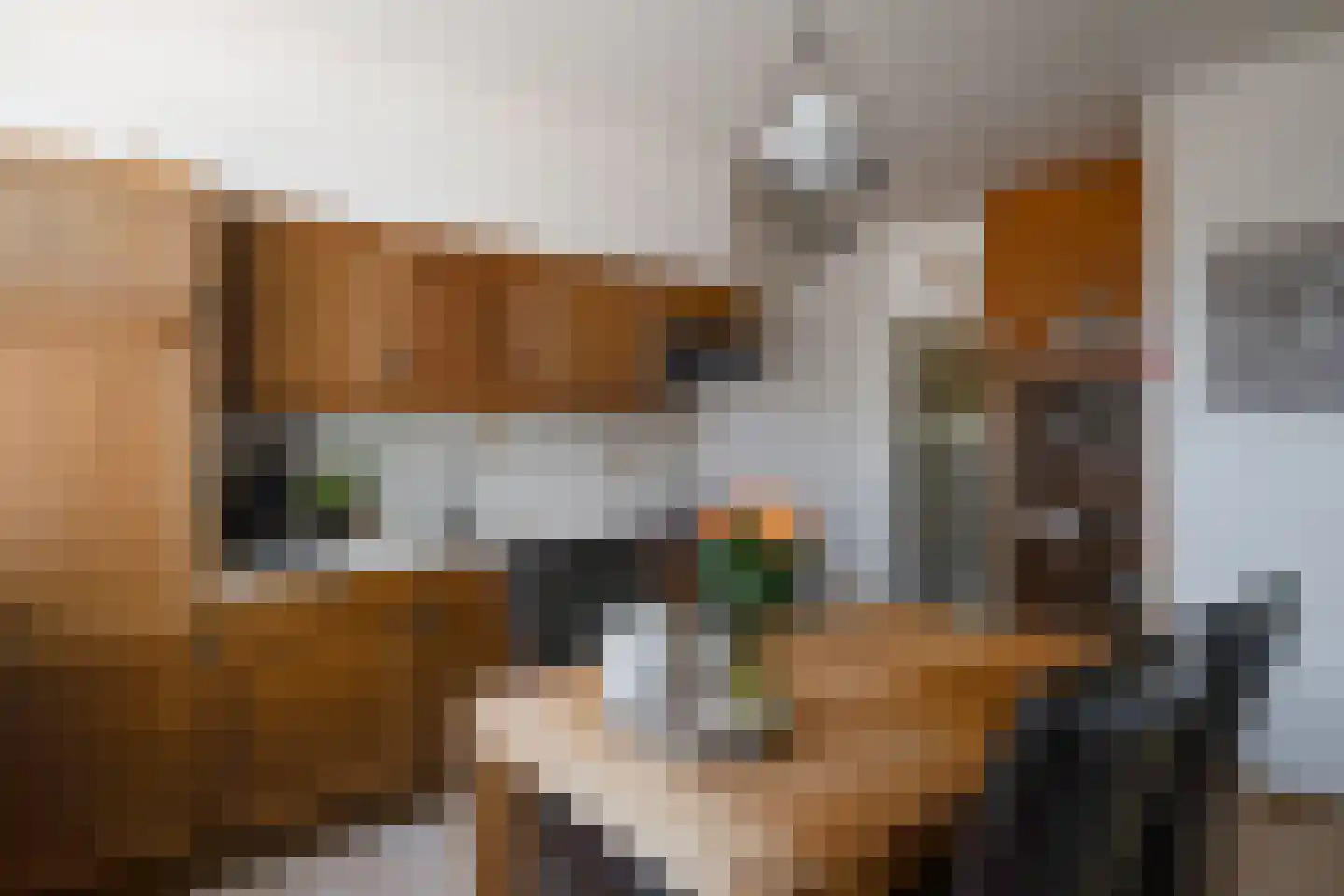 Gronausestraat 225 Losser thumbnail 14