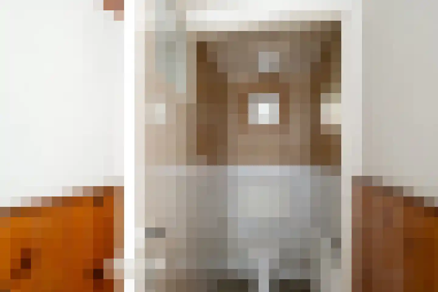 Gronausestraat 225 Losser thumbnail 16