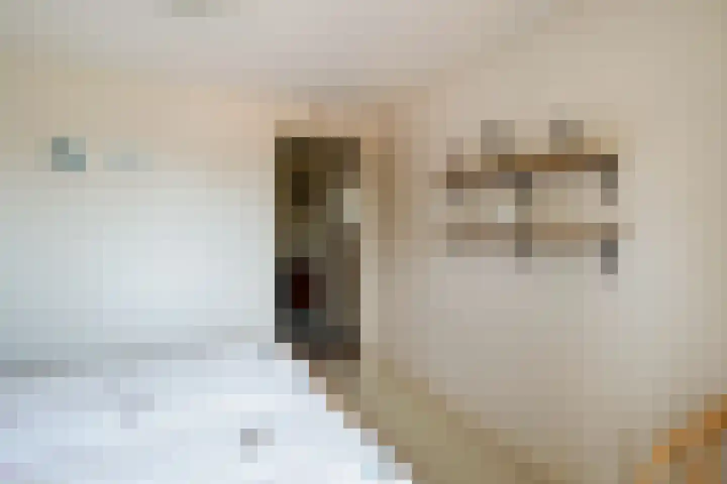 Gronausestraat 225 Losser thumbnail 23