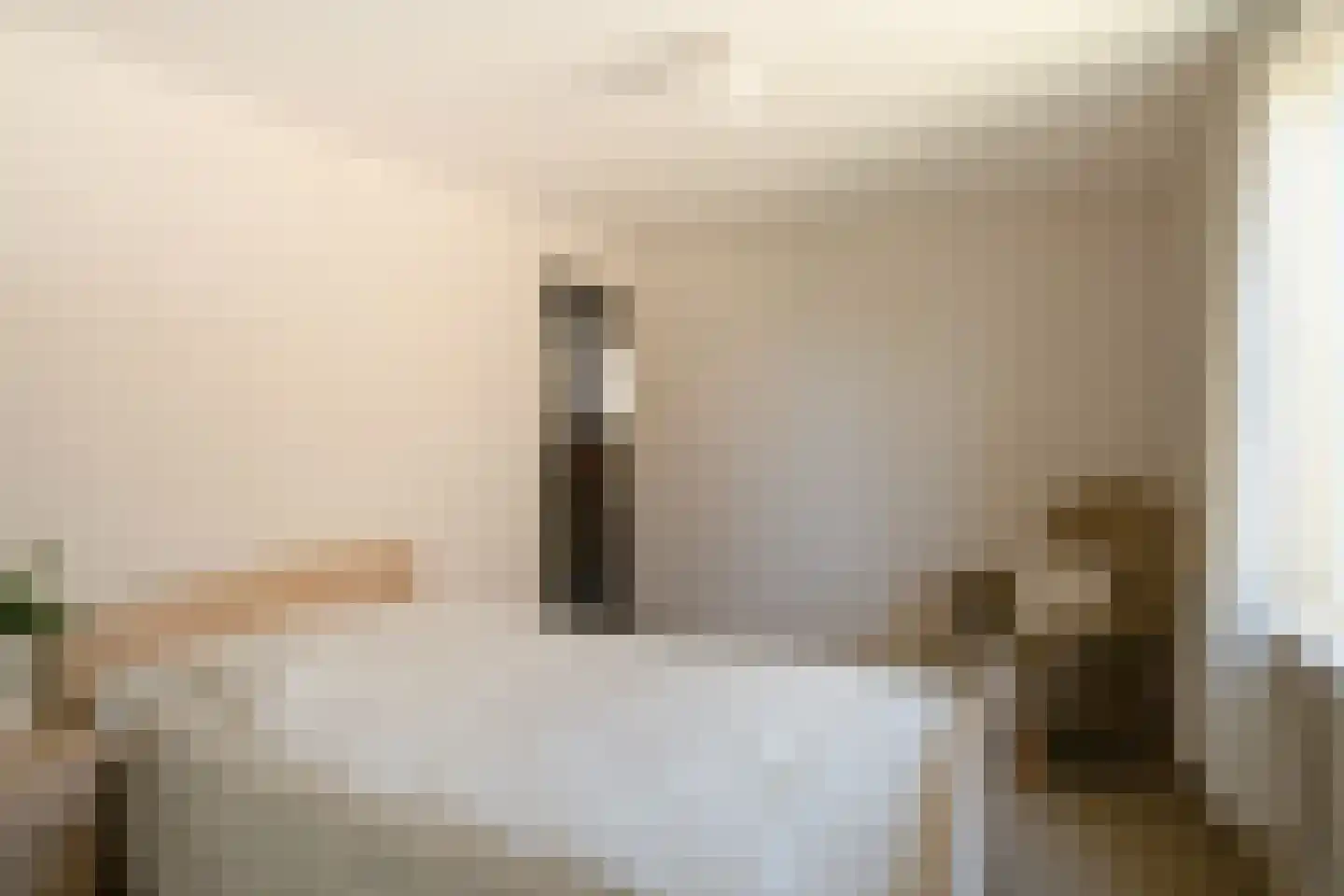 Gronausestraat 225 Losser thumbnail 25