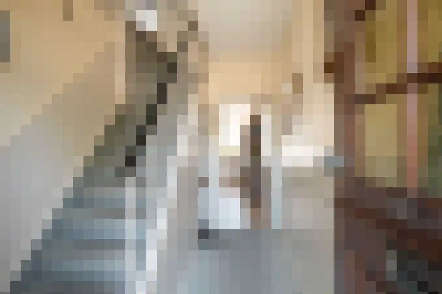 Gronausestraat 225 Losser thumbnail 6