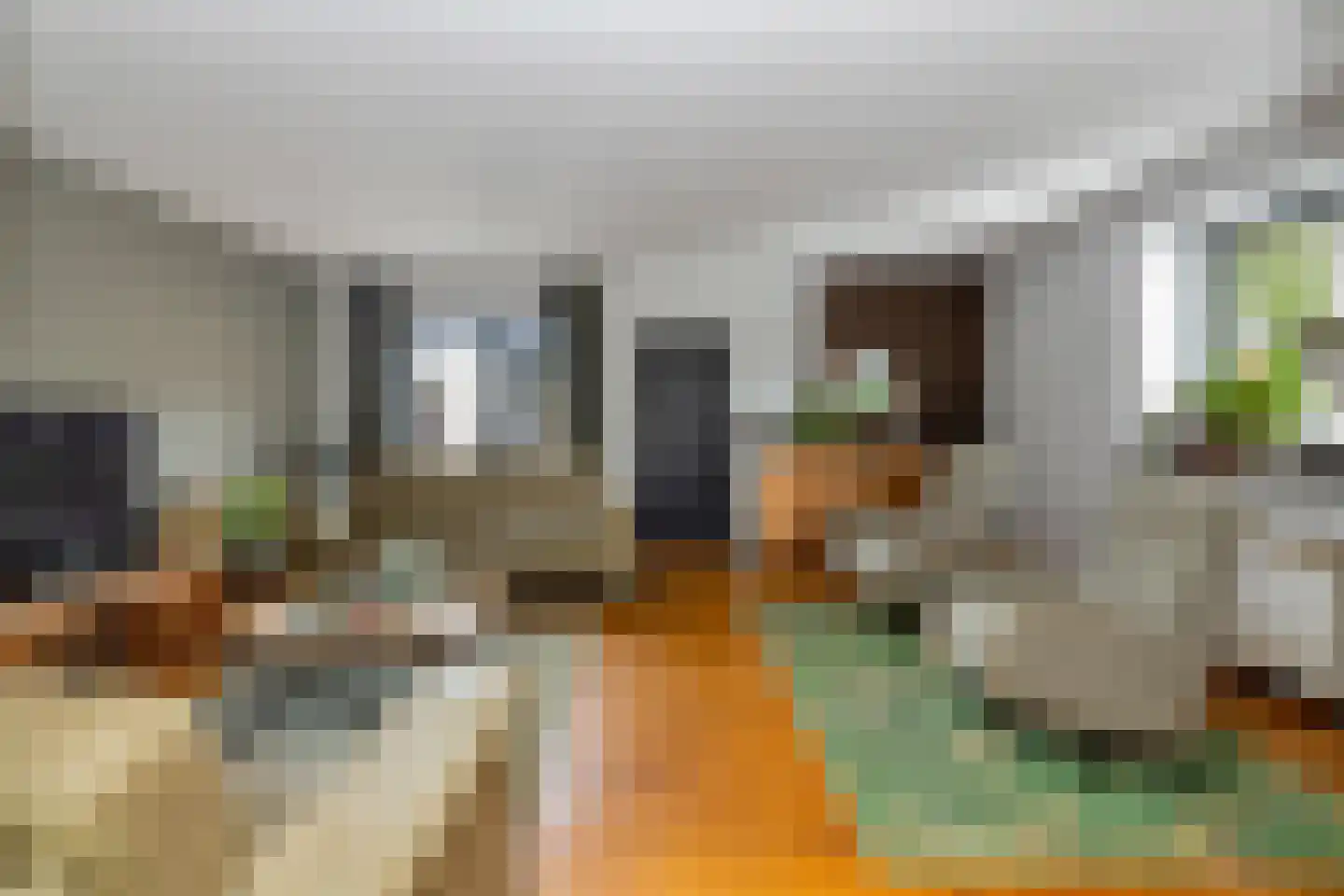 Gronausestraat 227 Losser thumbnail 10