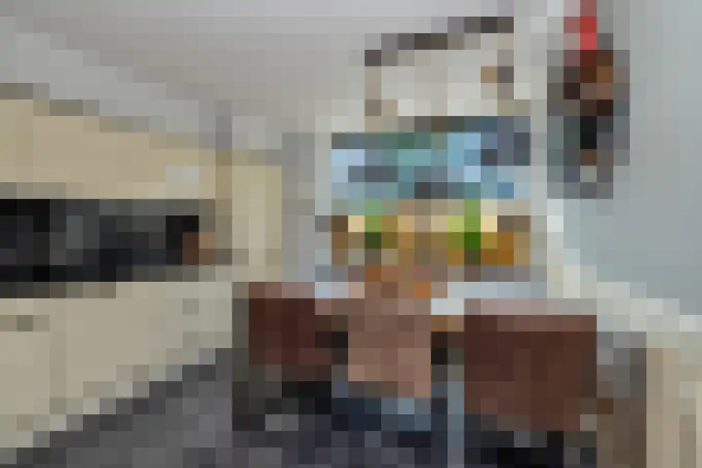 Gronausestraat 227 Losser thumbnail 12