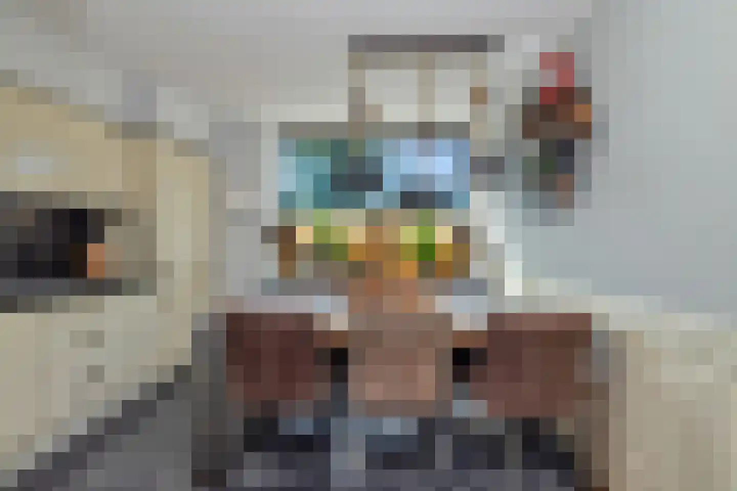 Gronausestraat 227 Losser thumbnail 13