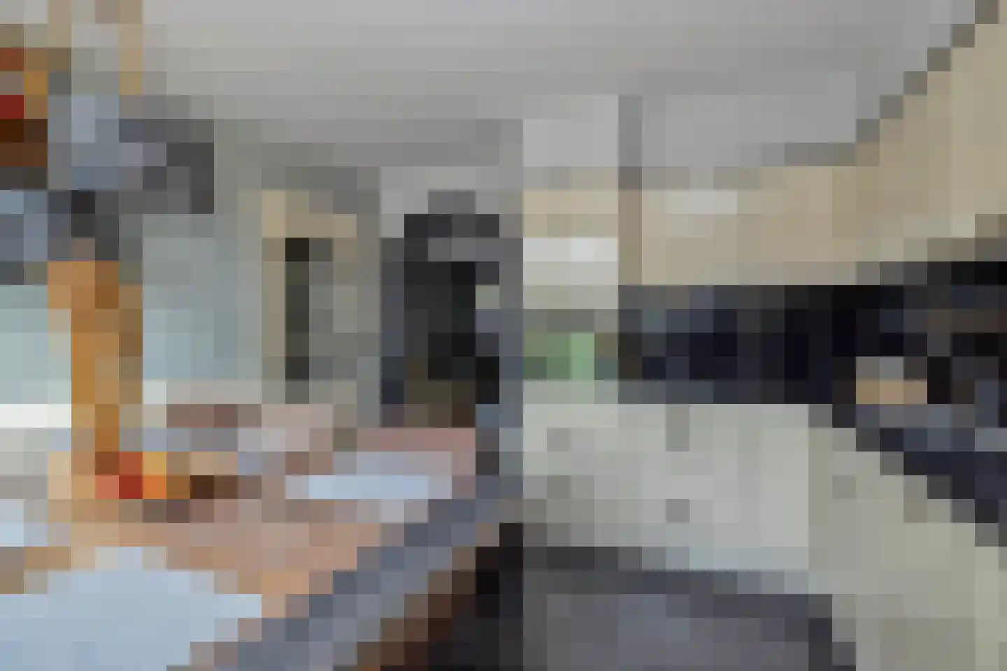 Gronausestraat 227 Losser thumbnail 16