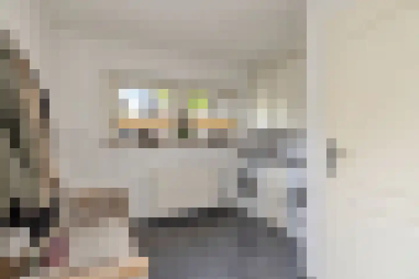 Gronausestraat 227 Losser thumbnail 17