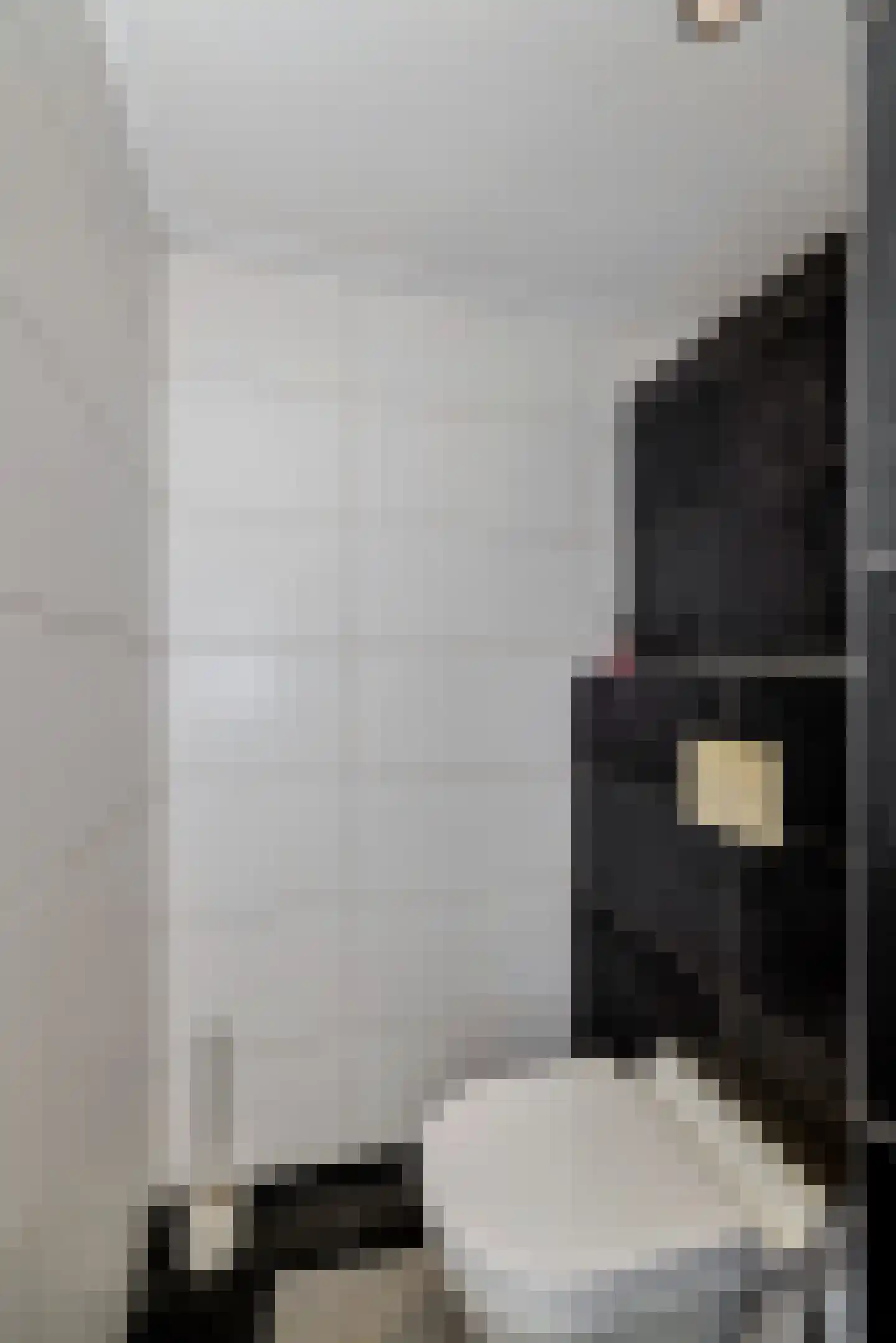 Gronausestraat 227 Losser thumbnail 19