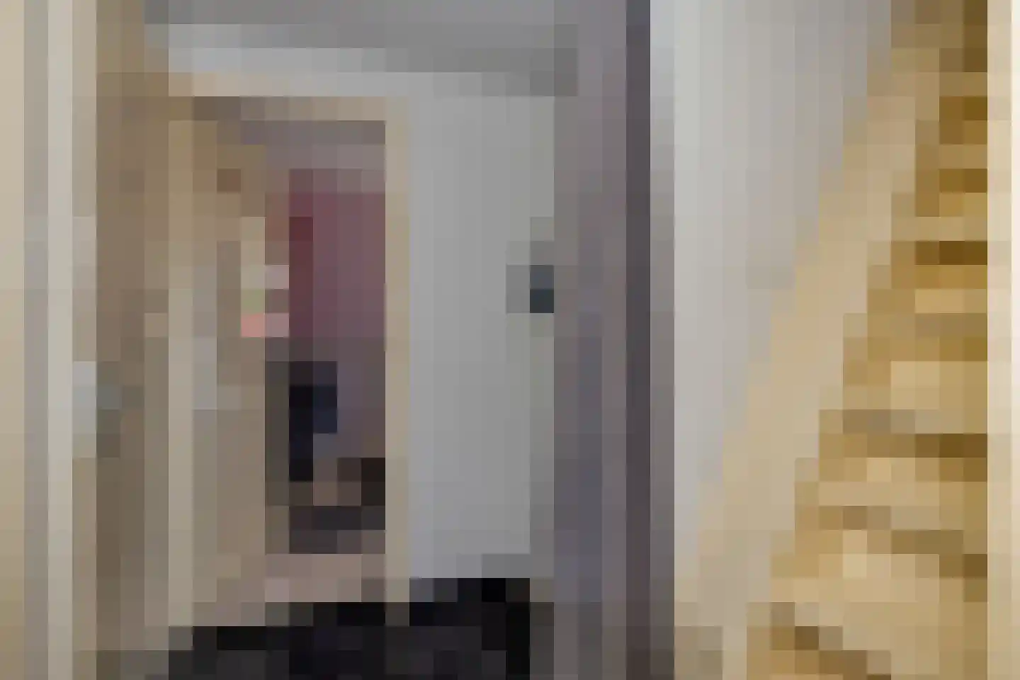 Gronausestraat 227 Losser thumbnail 22