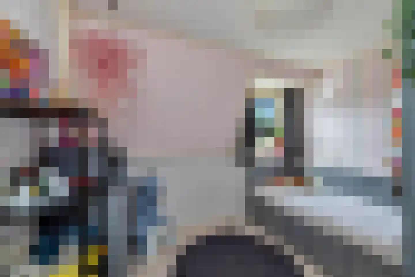 Gronausestraat 227 Losser thumbnail 23
