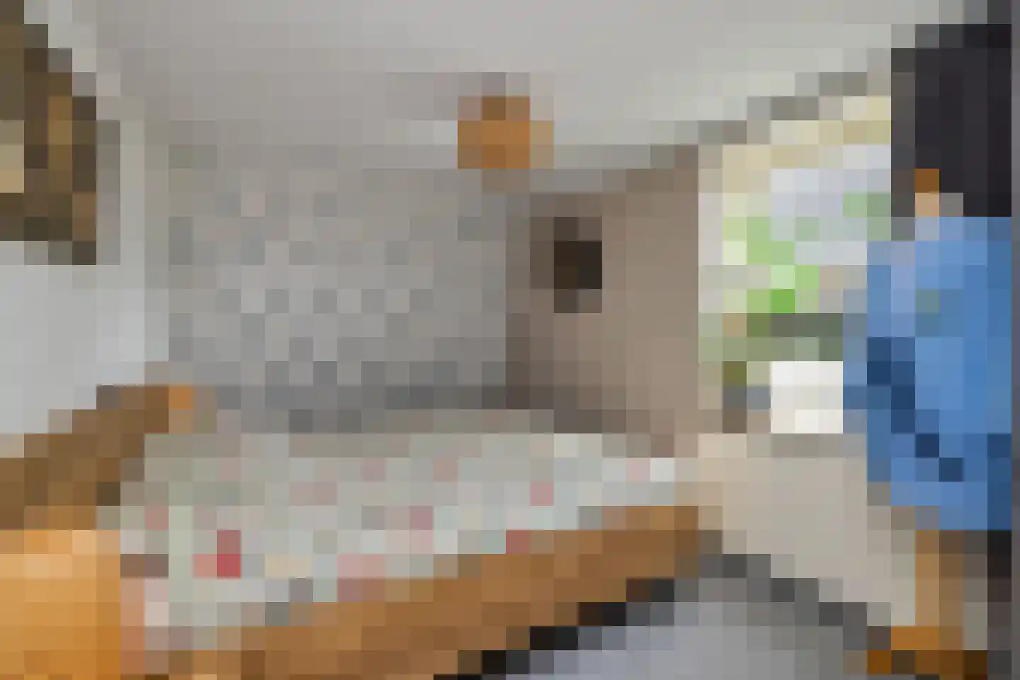 Gronausestraat 227 Losser thumbnail 29