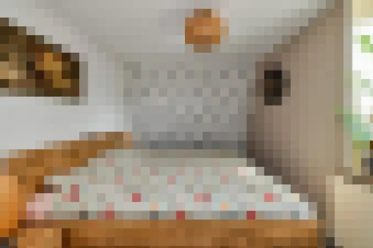 Gronausestraat 227 Losser thumbnail 30