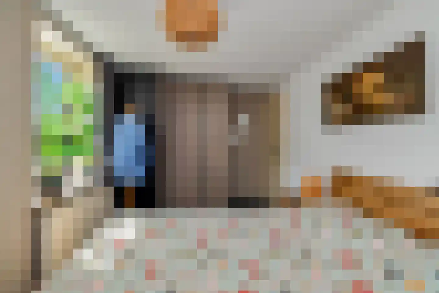 Gronausestraat 227 Losser thumbnail 31