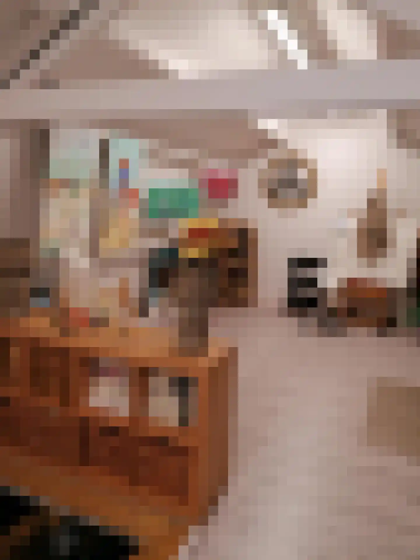 Gronausestraat 227 Losser thumbnail 38