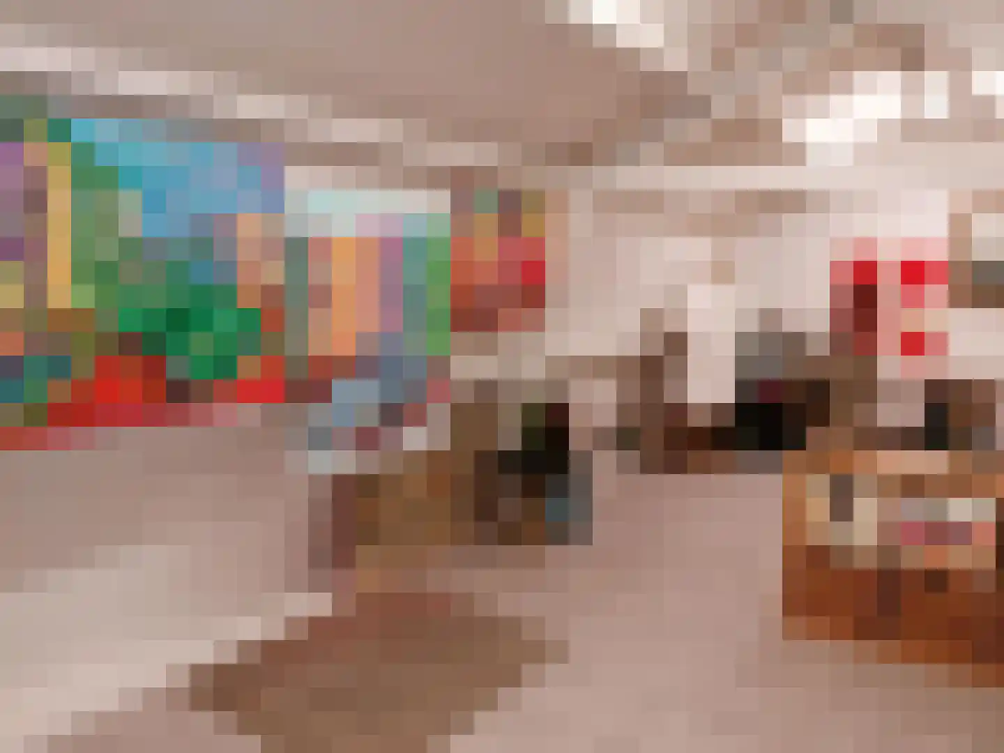 Gronausestraat 227 Losser thumbnail 39