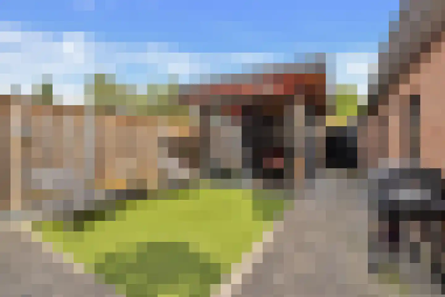 Gronausestraat 227 Losser thumbnail 41