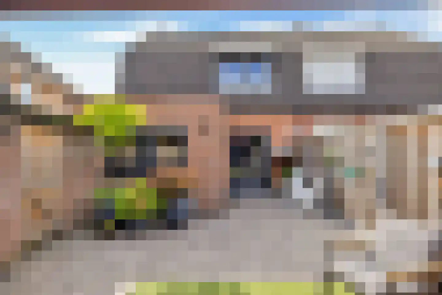 Gronausestraat 227 Losser thumbnail 43