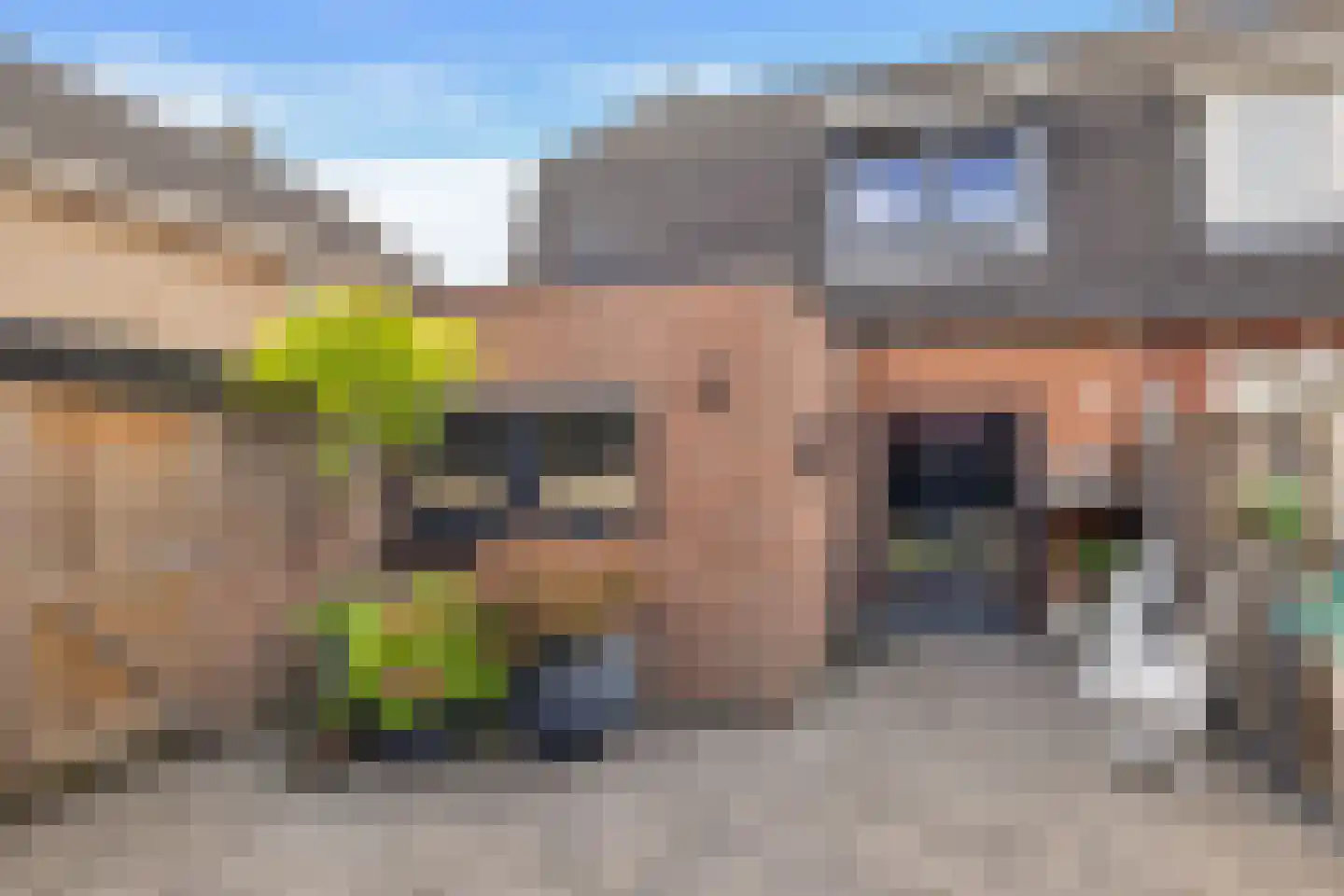 Gronausestraat 227 Losser thumbnail 44