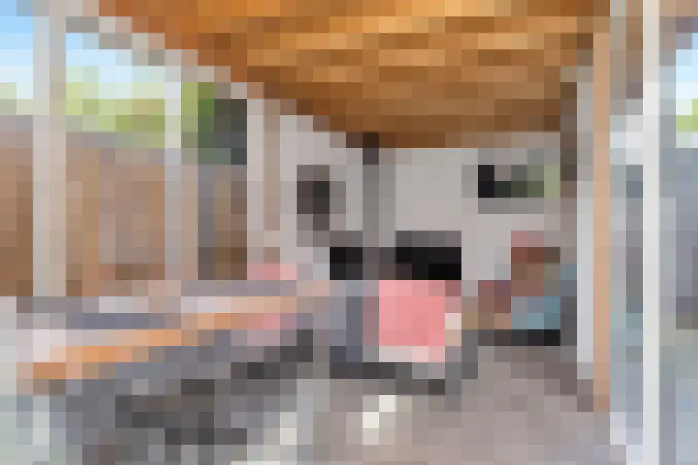 Gronausestraat 227 Losser thumbnail 45