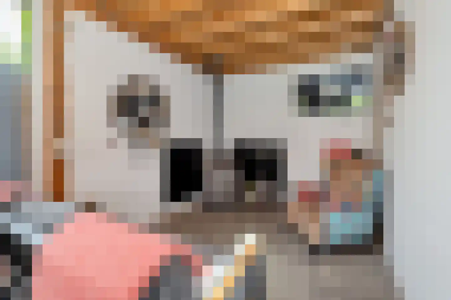 Gronausestraat 227 Losser thumbnail 46