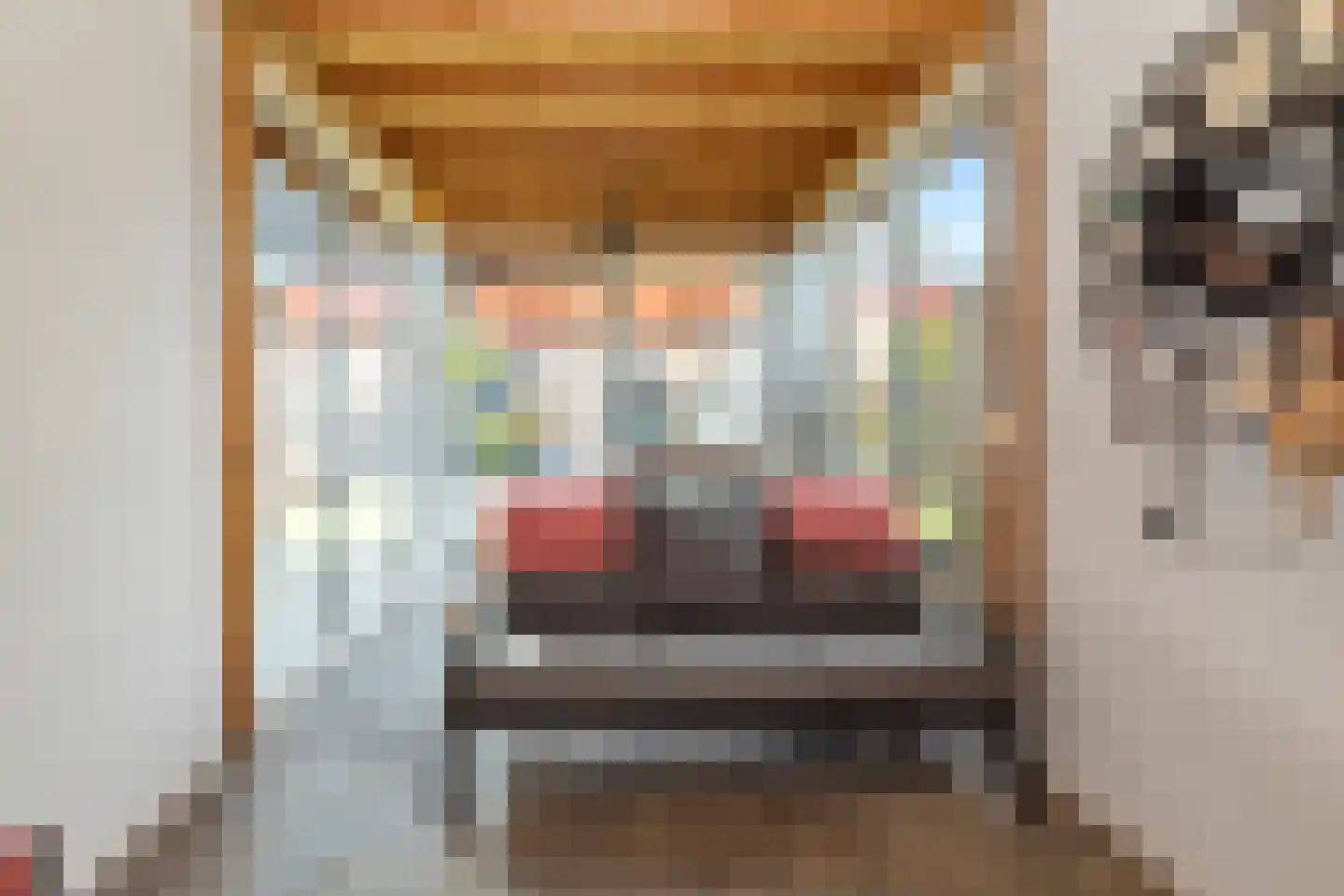 Gronausestraat 227 Losser thumbnail 47