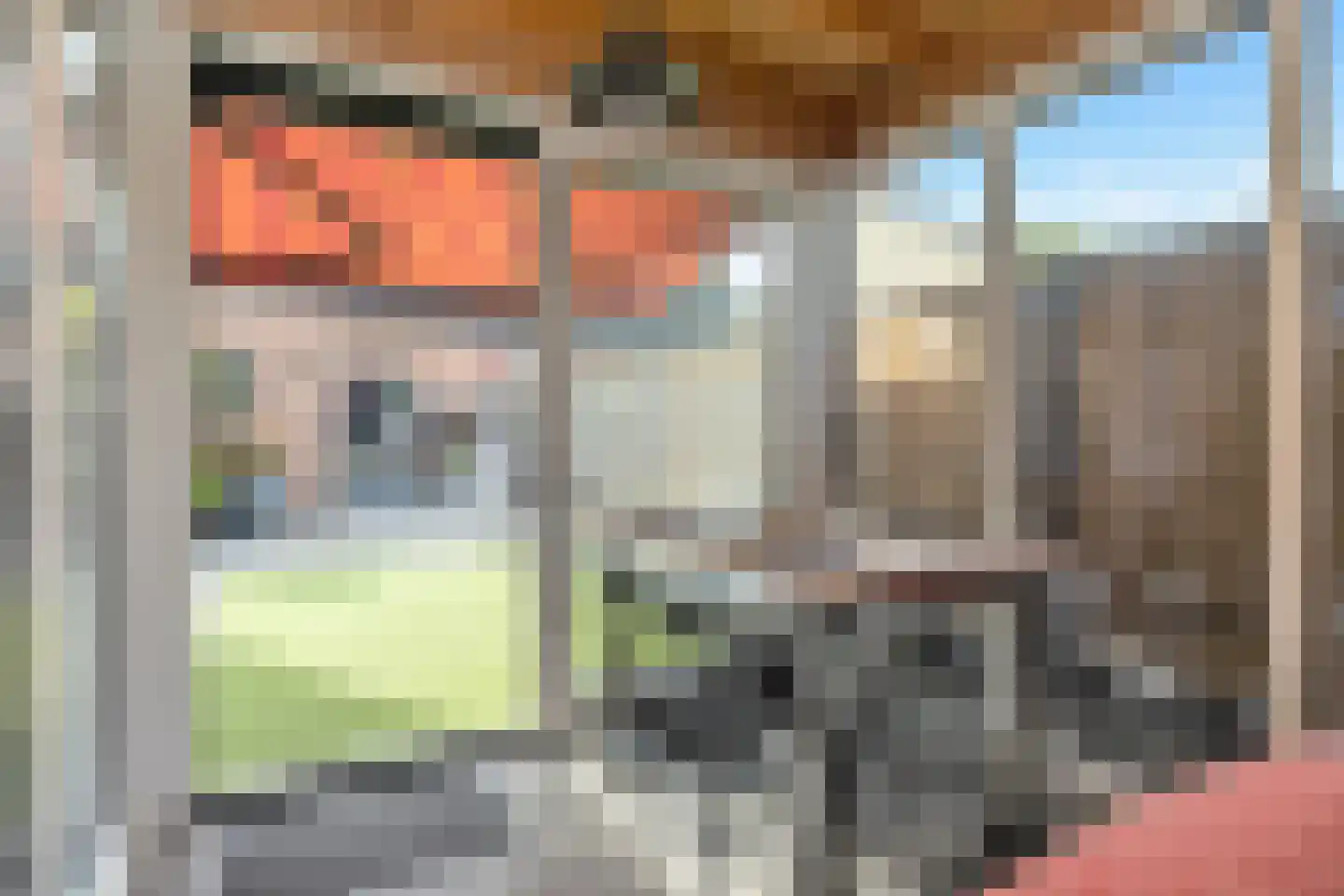 Gronausestraat 227 Losser thumbnail 48
