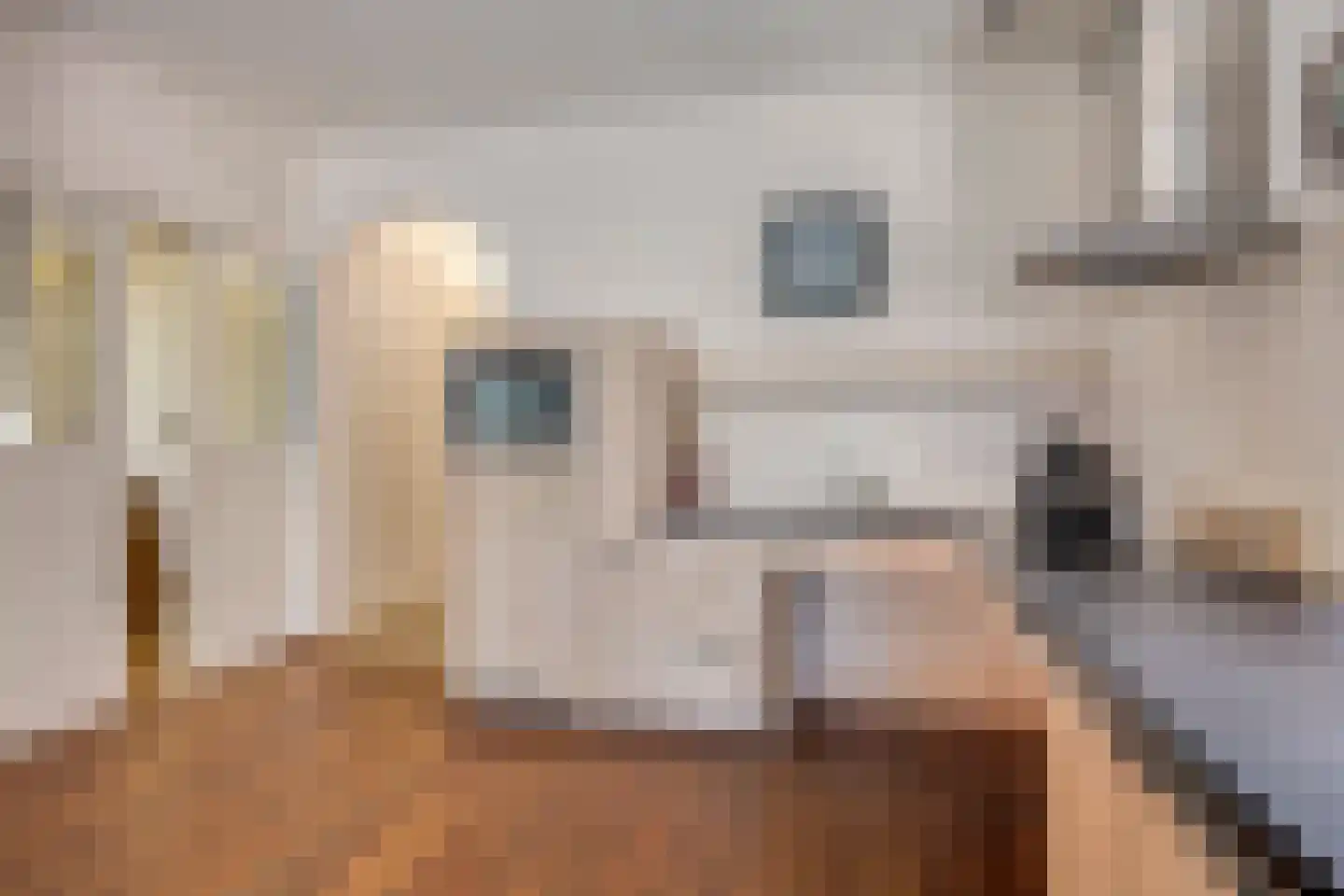 Gronausestraat 235 Losser thumbnail 14
