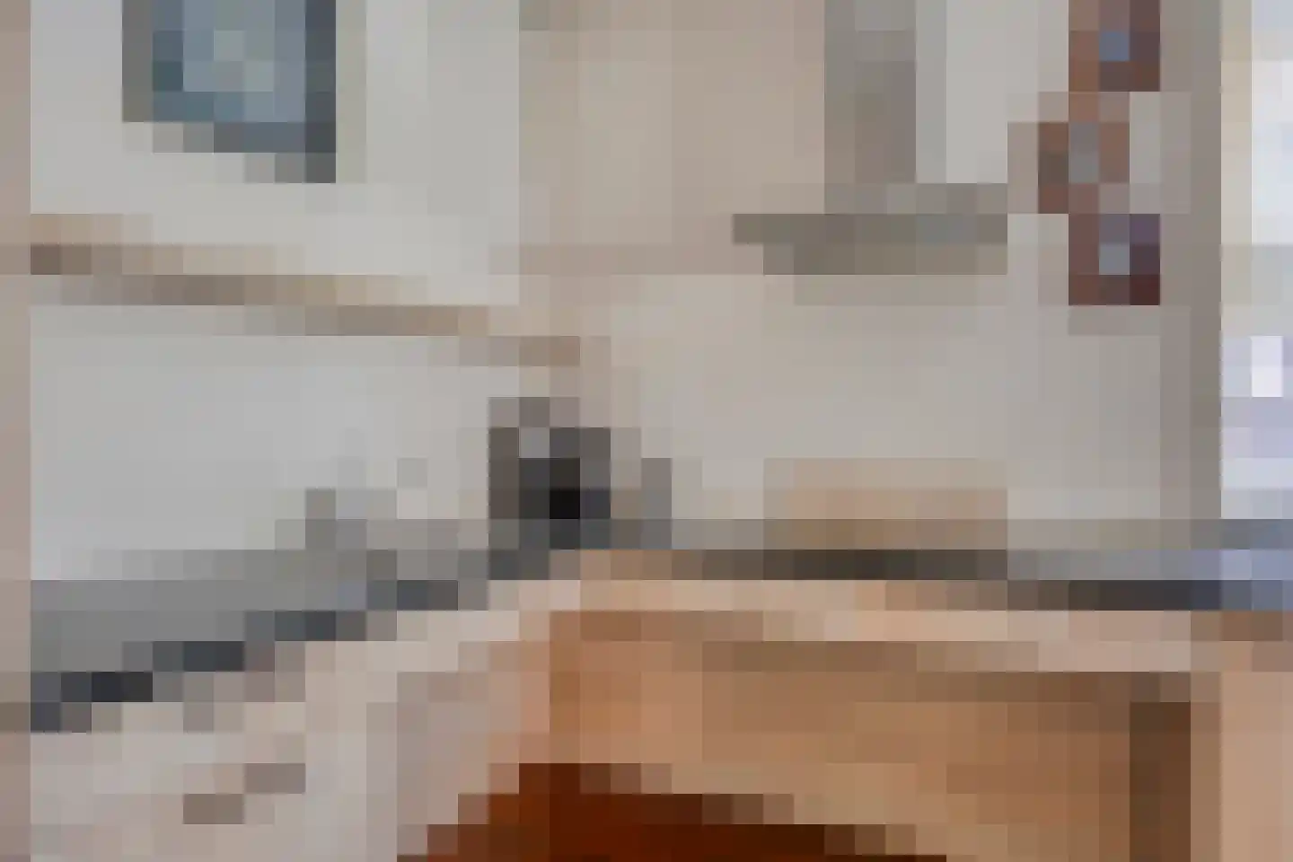 Gronausestraat 235 Losser thumbnail 15