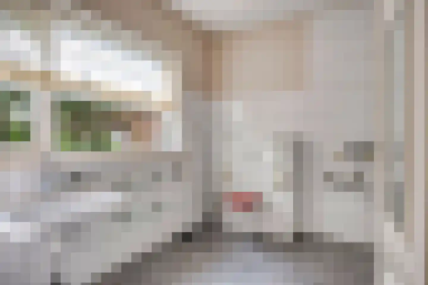 Gronausestraat 235 Losser thumbnail 19