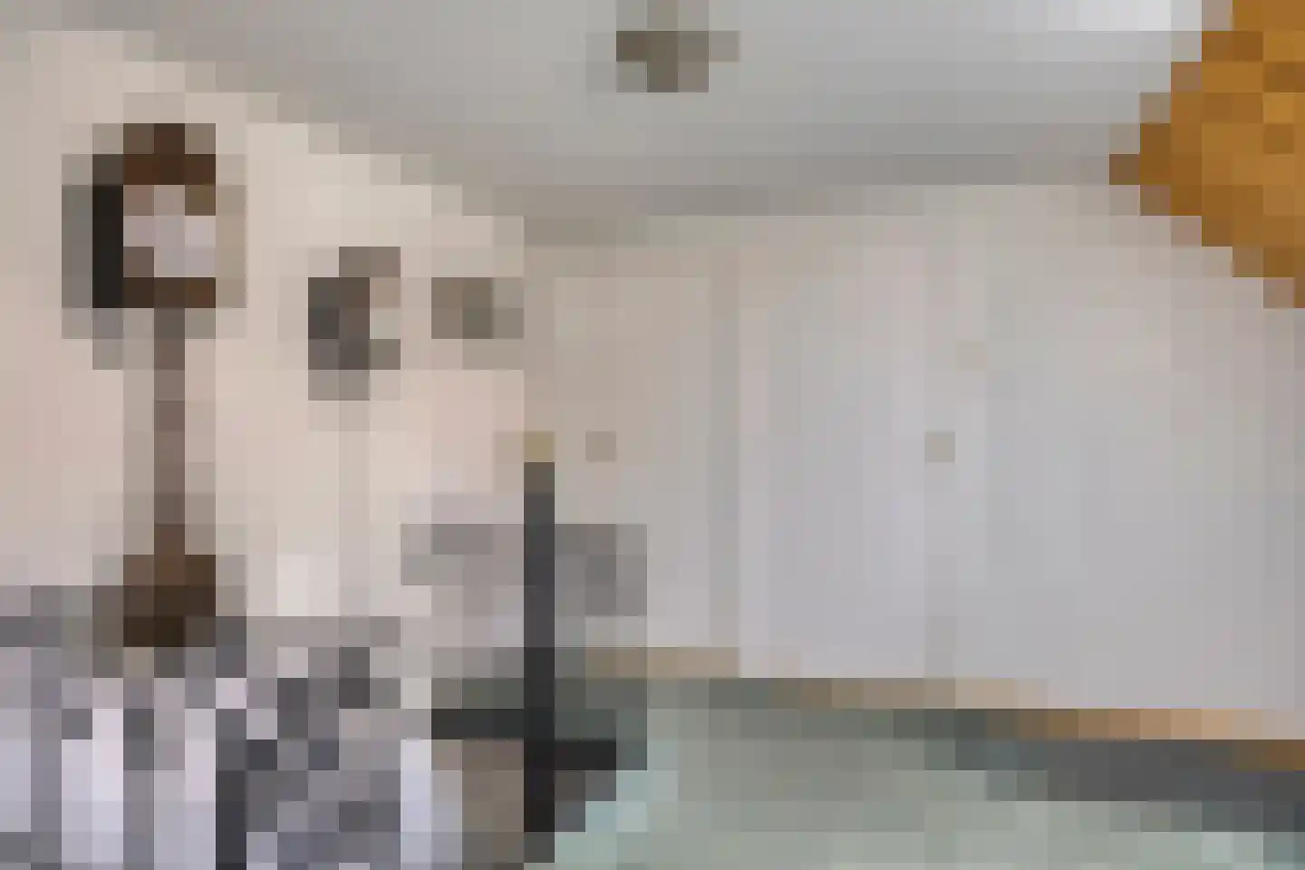 Gronausestraat 235 Losser thumbnail 22