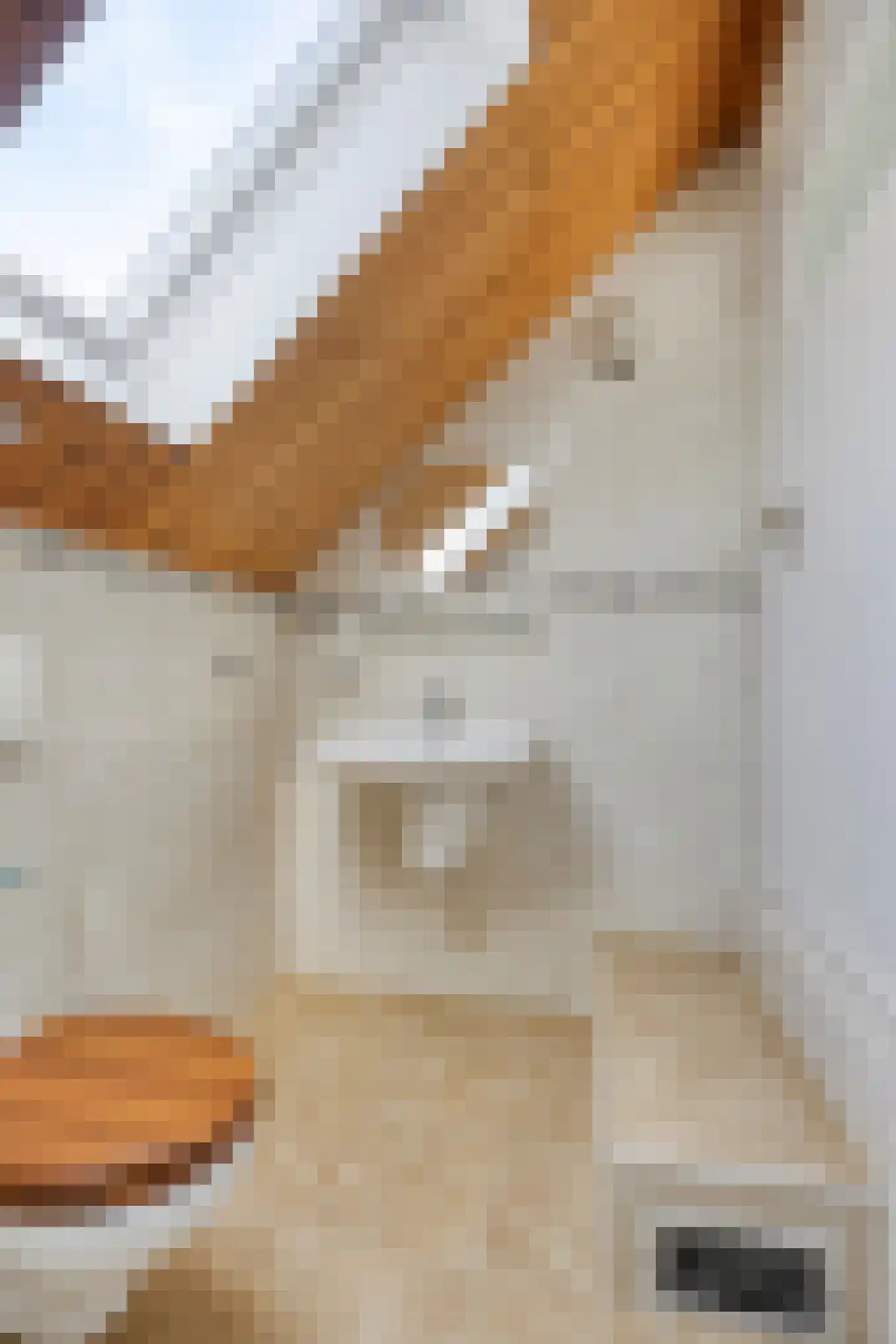 Gronausestraat 235 Losser thumbnail 25