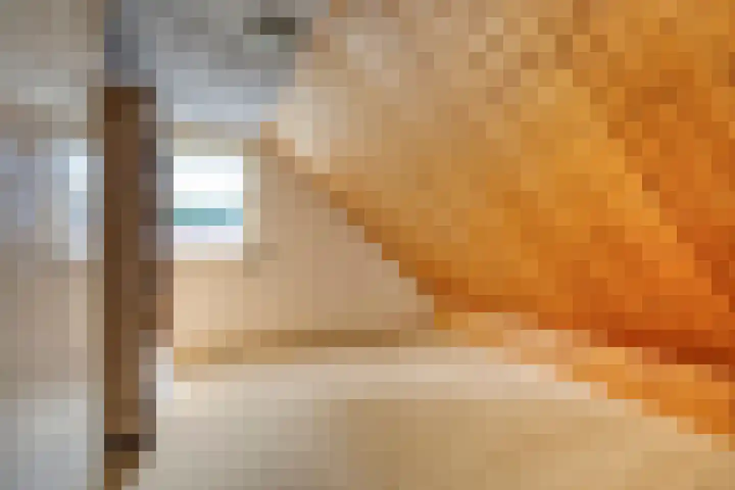 Gronausestraat 235 Losser thumbnail 26