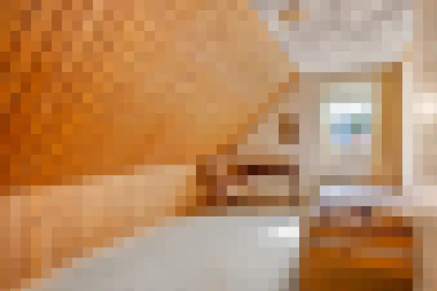 Gronausestraat 235 Losser thumbnail 27